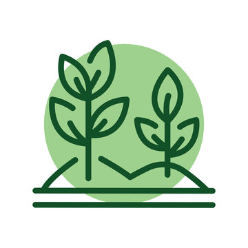 green plants growing in garden clip art preview