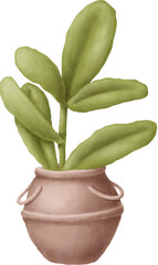 Potted plant illustration