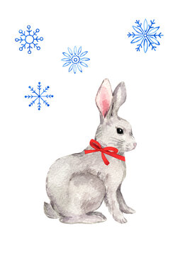 Cute seating rabbit with red bow. Watercolor winter illustration for your design. Hand drawn little bunny with snowflakes isolated on transparent.