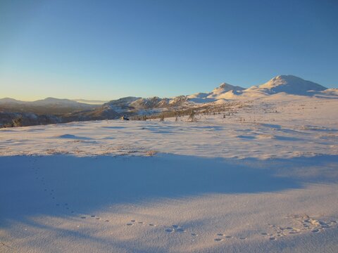 Beautiful view of a snow covered landscape in Tuddal Norway with animal tracks in front and Gaustatoppen in the background.