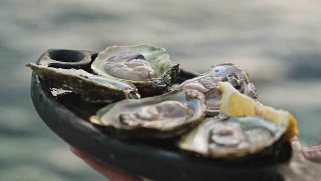 close-up of oysters cooked by the chef on a wooden tray with lemon on the background of the sea. Seafood delicacies. Delicious oysters grown on an oyster farm.