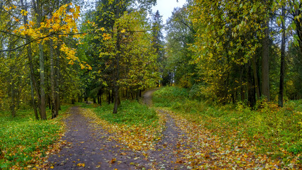 Landscapes of the Shuvalovsky Park in St. Petersburg in cloudy autumn weather.