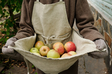 Close-up of senior female gardener or farmer holding pile of fresh ripe juicy apples in linen apron...