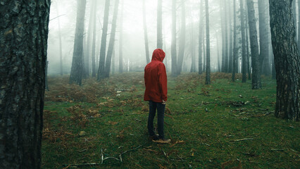 Man with red jacket walks in the foggy woods