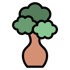 tree plant nature forest