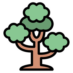 tree plant nature forest