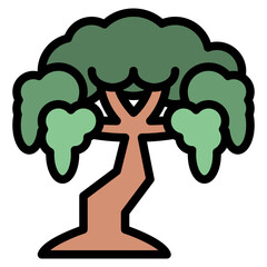 tree plant nature forest