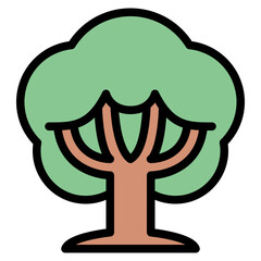 tree plant nature forest