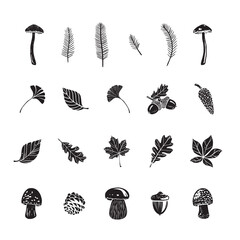 big collection of forest plant elements in linocut style
