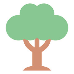 tree plant nature forest