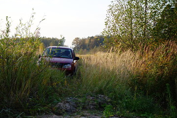 Obraz na płótnie Canvas car in the forest