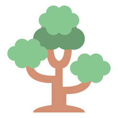 tree plant nature forest