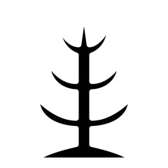 dried tree plant nature forest