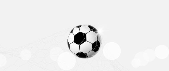 Soccer ball in the goal. Football in the net on white background. Soccer goal. Vector illustration