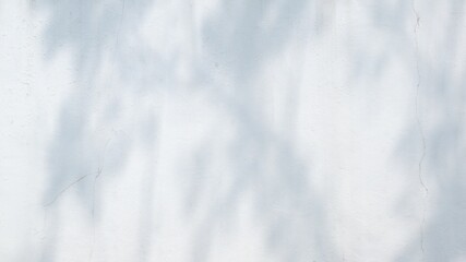 natural shadows on abstract white wall background texture