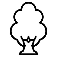 tree plant nature forest