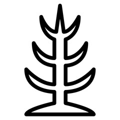 dried tree plant nature forest