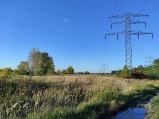 wasteland in the autumn sun, plain, trees, blue sky, road and electricity pylons