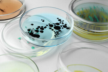 Petri dishes with different bacteria colonies on white background, closeup