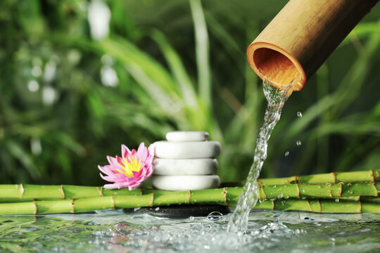 5,300+ Zen Water Bamboo Stock Photos, Pictures & Royalty-Free