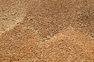 Pile of wheat grains as background, closeup view