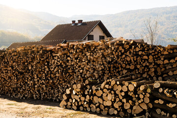 A stack of firewood on the background of the house