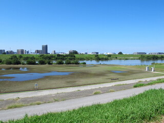 土手から見る台風で冠水したグラウンドのある秋の江戸川河川敷風景