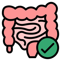 stomuch healthy food diet vegan