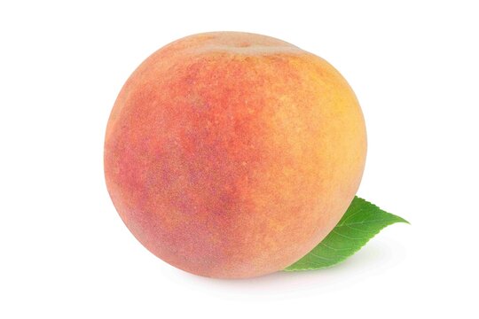 Peach on an isolated white background.