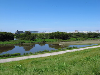 土手から見る台風で冠水したグラウンドのある秋の江戸川河川敷風景