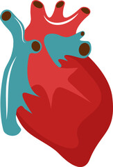 human organ body, lungs, ears, heart, kidney, ovarium, vagina, intestine, stomach, liver