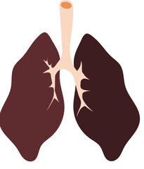 human organ body, lungs, ears, heart, kidney, ovarium, vagina, intestine, stomach, liver