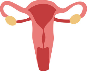 human organ body, lungs, ears, heart, kidney, ovarium, vagina, intestine, stomach, liver