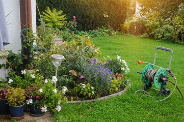 Watering hose in garden on green grass