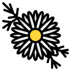 chamomile herb and spice