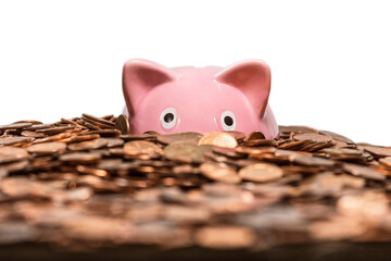 Pink piggy bank drowning in ocean of pennies with cut out background.