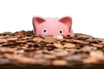 Pink piggy bank drowning in ocean of pennies with cut out background.