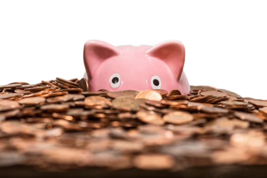 Pink piggy bank drowning in ocean of pennies with cut out background. - Powered by Adobe
