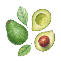 Set with watercolor avocadoes and leaves