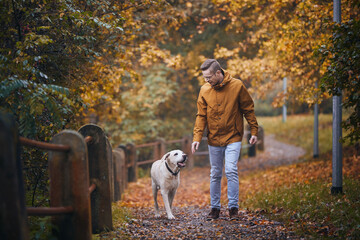 Naklejka na ściany i meble Man with dog during autumn day. Pet owner walking on footpath with his loyal labrador retriever. .