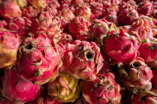 pile of fresh dragon fruit for sale, soft focus