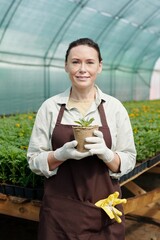 Photo realistic digital collage of gloved female fermer in apron holding pot with green seedling against workplace