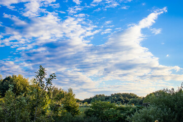 Fototapeta premium 青空