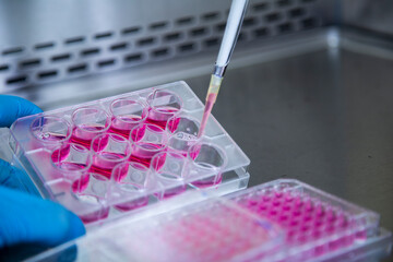 medicine, medical and biology laboratory photo