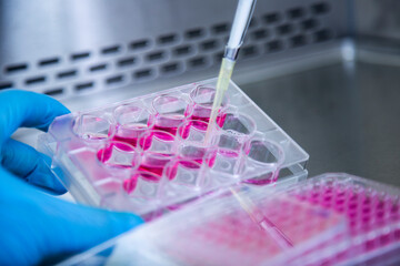 cell culture at the laboratory