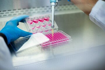 cell culture at the laboratory