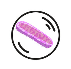 Legionella bacteria vector. Bacterium legionella illustration isolated on white background. Bacterial Legionnaires disease concept. 