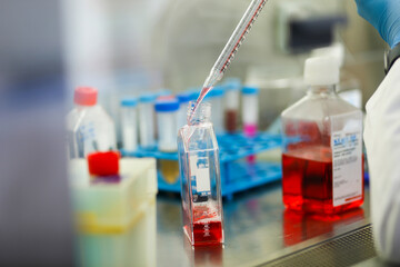 cell culture at the laboratory