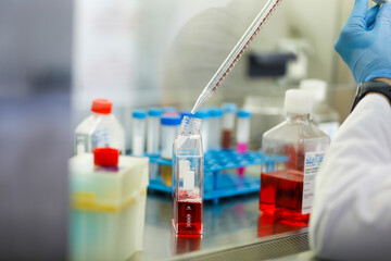 cell culture at the laboratory