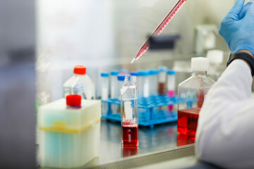 cell culture at the medicine, medical and cell culture laboratory